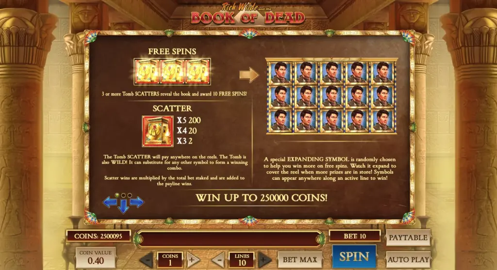 Rules for playing the Book of Dead slot